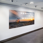 wall decals – removable and reusable