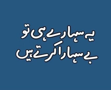 whatsapp image 2026 01 22 at 5.50.04 pm (1)